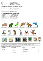 English Worksheet: LOTS OF EXERCISES FOR ELEMENTARY STUDENTS/2
