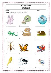 English Worksheet: PETS