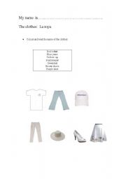 English worksheet: THe clothes