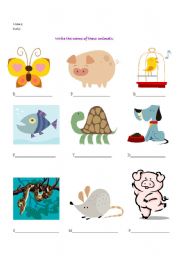 English worksheet: Animals