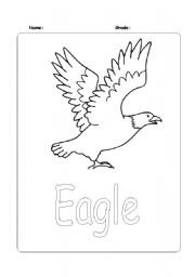 English Worksheet: Eagle