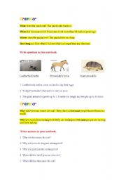English Worksheet: Using where, when and why