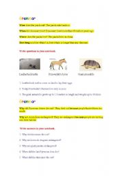 English worksheet: Using where, when and why