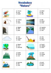 English Worksheet: Vocabulary 