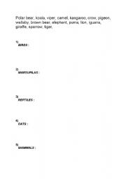English Worksheet: animals