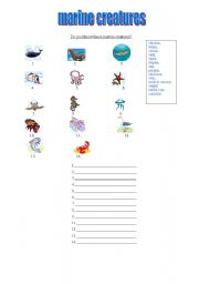 English worksheet: marine creatures