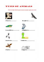 English worksheet: kinds of animals