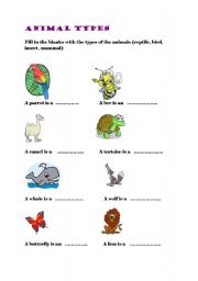 English worksheet: animal kinds 2