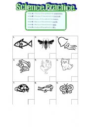 English worksheet: Science Practice