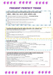 English Worksheet: PRESENT PERFECT 