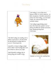 English Worksheet: The turkey is one of the most famous birds