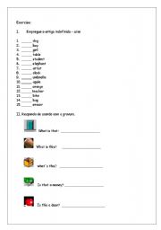 English worksheet: Exercise A or An