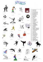 English Worksheet: SPORTS