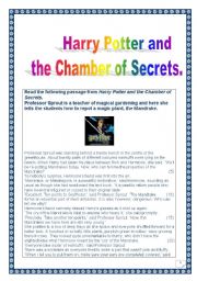 Harry Potter series: Guided READING & WRITING project (over 30 tasks & 5 pages) (printer friendly version) : harry Potter and the Chamber of Secrets 