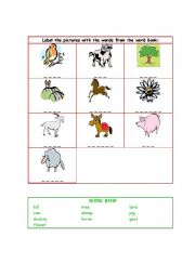 English worksheet: vocabulary