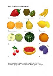 English Worksheet: fruits