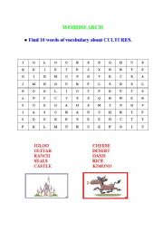 English worksheet: wordsearch about cultures