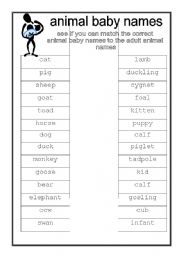 English Worksheet: Animal baby names