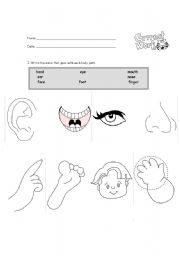 English worksheet: body parts