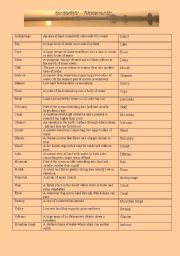 English worksheet: Geograpghy - Terminology