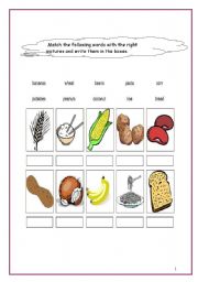 English worksheet: FOOD