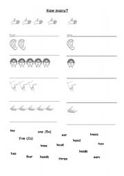 English Worksheet: How many are there?