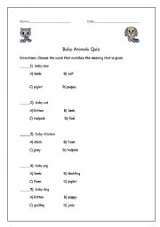 English Worksheet: baby animals