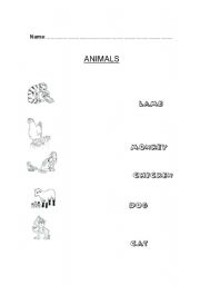 English Worksheet: Animals matching