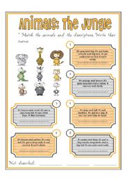 English Worksheet: animal description