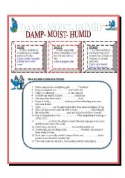 DAMP - MOIST- HUMID