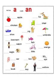 English Worksheet: a or an