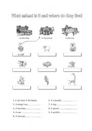 English worksheet: What animal is it and where do they live?