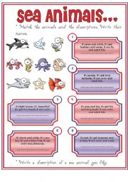 English Worksheet: Animals