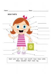 English Worksheet: The body parts