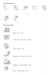 English Worksheet: body and doctor - test