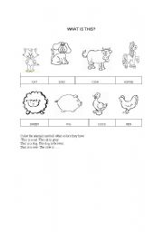 English Worksheet: Revision Domestic animals