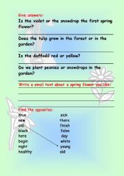 English worksheet: Spring questions