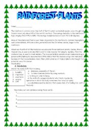 English Worksheet: RAINFORESTS