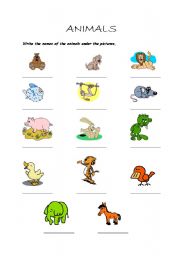 English worksheet: What is the name of the animal?