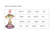 English worksheet: circle the correct word