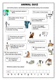 English Worksheet: animal quiz