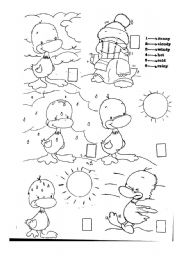 English Worksheet: The weather