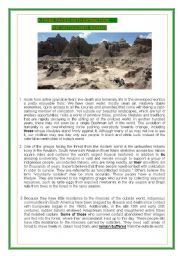 3 pages- A TRIBE FACED WITH EXTINCTION: THE UNTOUCHED INDIANS-READING , LISTENING AND VOCABULARY ACTIVITY -BOTH INFORMATIVE AND POPULAR TOPIC  (1/2)