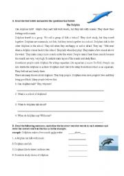 English Worksheet: a reading text about dolphins