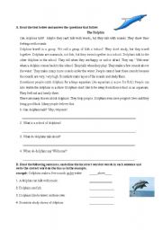 English worksheet: a reading text about dolphins