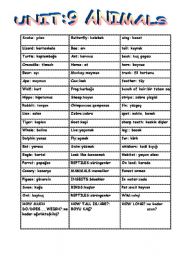 English worksheet: animals