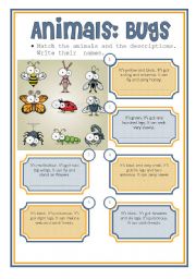 English Worksheet: animals: bugs