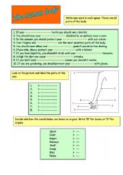 English Worksheet: The human body