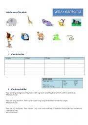 English Worksheet: Wild Animals - Where they live, what they eat, what they look like?