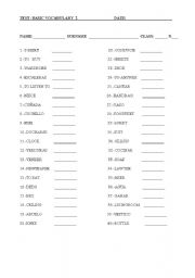 English worksheet: Basic vocabulary 2